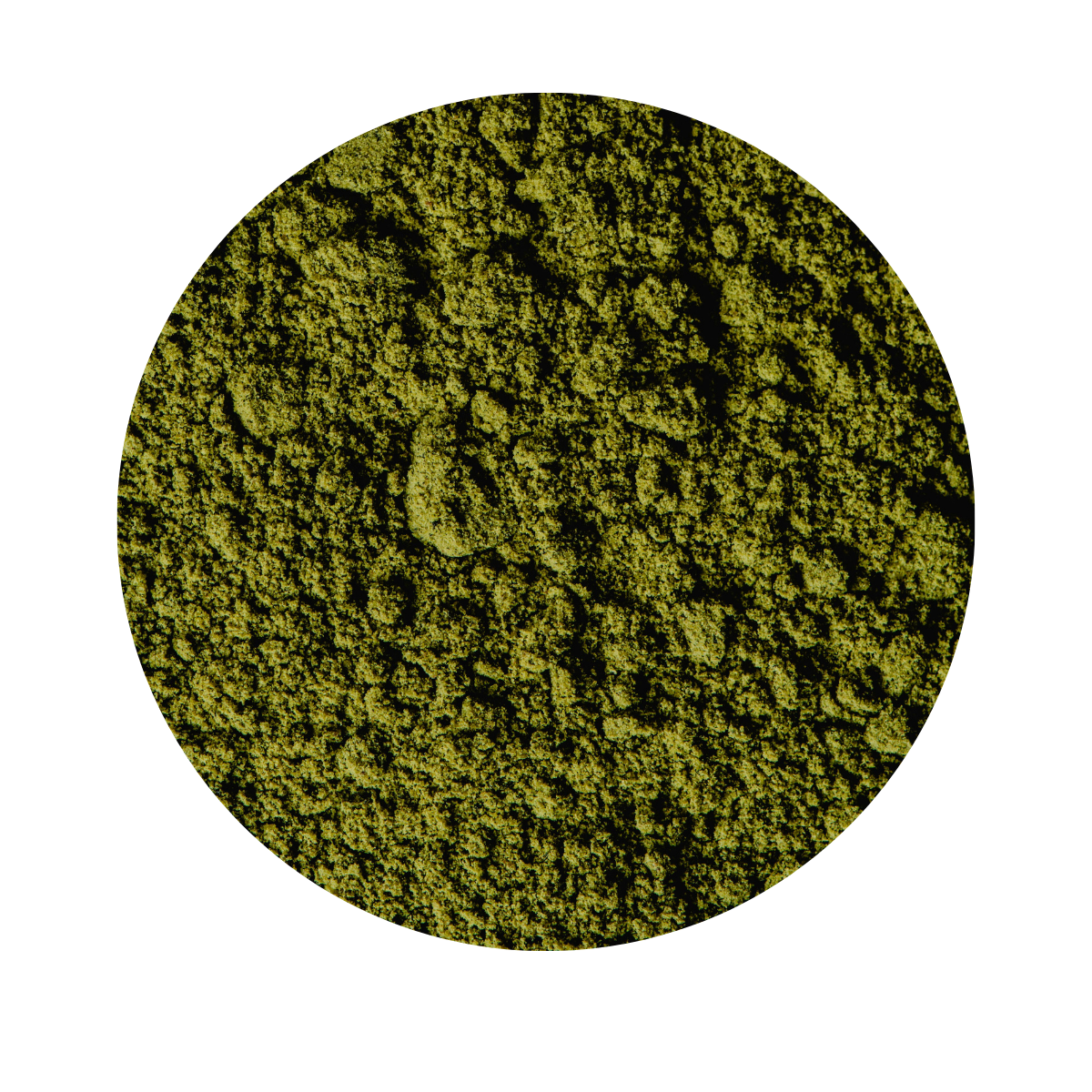 Kyoto Matcha
