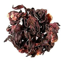 Egyptian hibiscus
