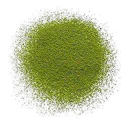 Kyoto Matcha