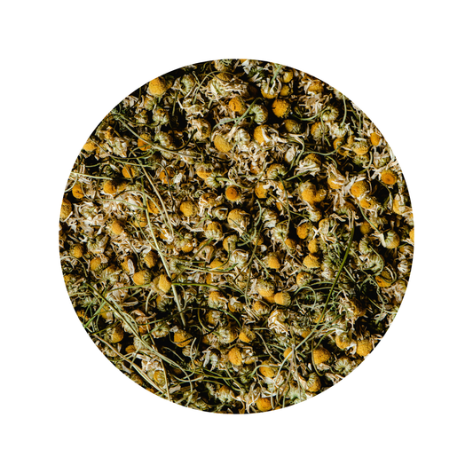 Egyptian Chamomile Loose Leaf Tea